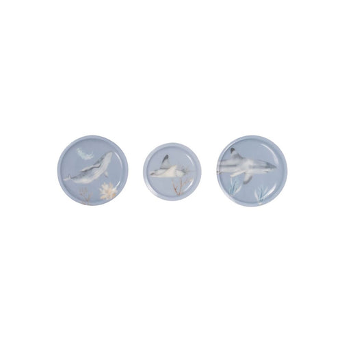 School-Mood 3er Patchie-Set Aqua