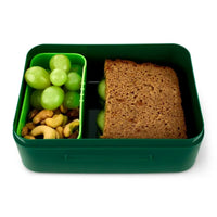 ergobag-brotdose-bluemchen-bunt-05-C90729B64.jpg