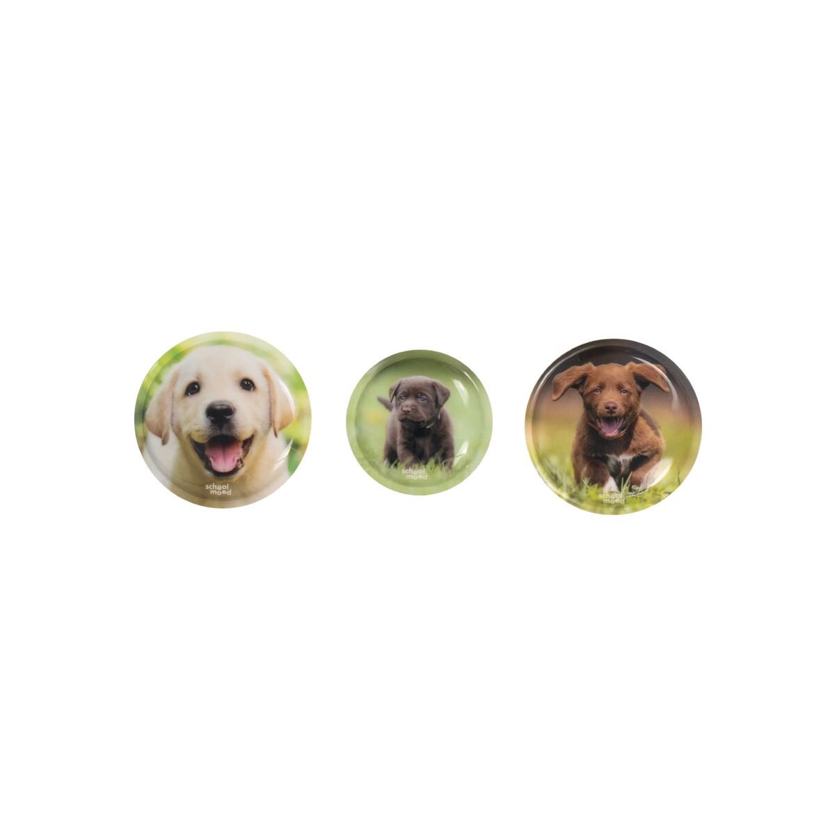 School-Mood 3er Patchie-Set Leni (Hund)